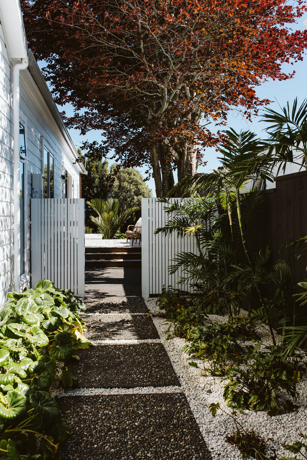 NIWA_161_LemonStreet-6